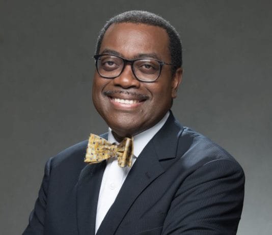 Akinwumi Adesina : « L’Afrique possède encore les fondamentaux qui ont contribué à sa croissance phénoménale ces 10 dernières années »