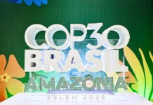 COP 30 au Brézil : Le continent africain est-il mal parti ? :
