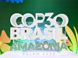 COP 30 au Brézil : Le continent africain est-il mal parti ? :
