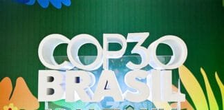 COP 30 au Brézil : Le continent africain est-il mal parti ? :