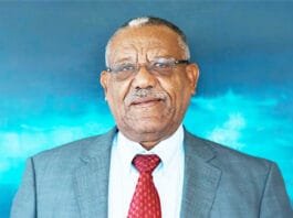 Girma Wake, ancien DG d’Ethiopian Airlines, nommé DG par intérim d’Uganda Airlines