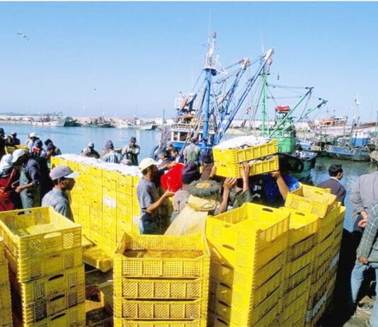 Le commerce intra-africain devrait croître de 10 % en 2026, à 230 milliards $