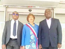 Diplomatie Territoriale : L’Iric et Chevilly-Larue posent les jalons d’un axe Paris-Yaoundé inédit