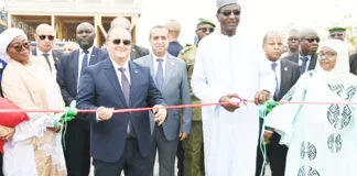 Souveraineté énergétique au Sahel : Le Niger et l’Algérie inaugurent la centrale de 40 MW à Gorou Banda