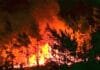 Burundi : les feux ravagent un cinquième du parc de la Ruvubu