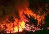 Burundi : les feux ravagent un cinquième du parc de la Ruvubu