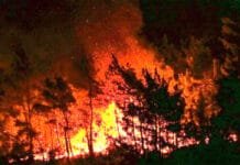 Burundi : les feux ravagent un cinquième du parc de la Ruvubu
