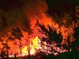 Burundi : les feux ravagent un cinquième du parc de la Ruvubu