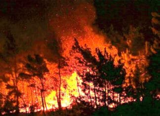 Burundi : les feux ravagent un cinquième du parc de la Ruvubu