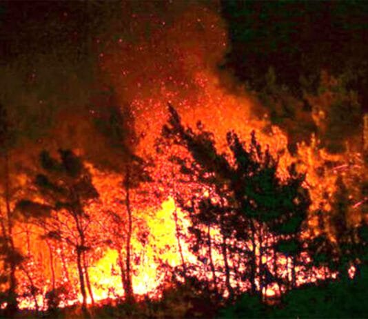 Burundi : les feux ravagent un cinquième du parc de la Ruvubu