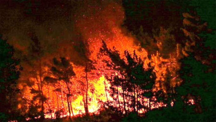 Feu au parc au Burundi