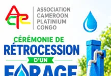 Congo : une association camerounaise offre de l’eau potable aux populations de Makélékélé