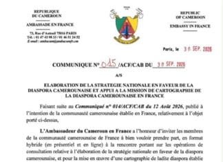 France : Diaspora Camerounaise, entre la volonté de recensement et le besoin de reconnaissance