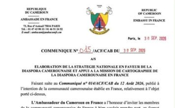 France : Diaspora Camerounaise, entre la volonté de recensement et le besoin de reconnaissance