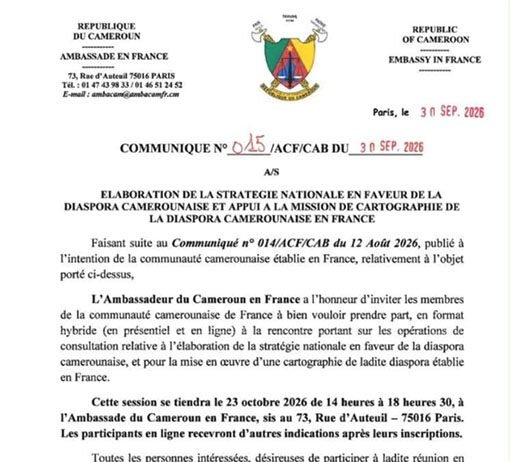 France : Diaspora Camerounaise, entre la volonté de recensement et le besoin de reconnaissance